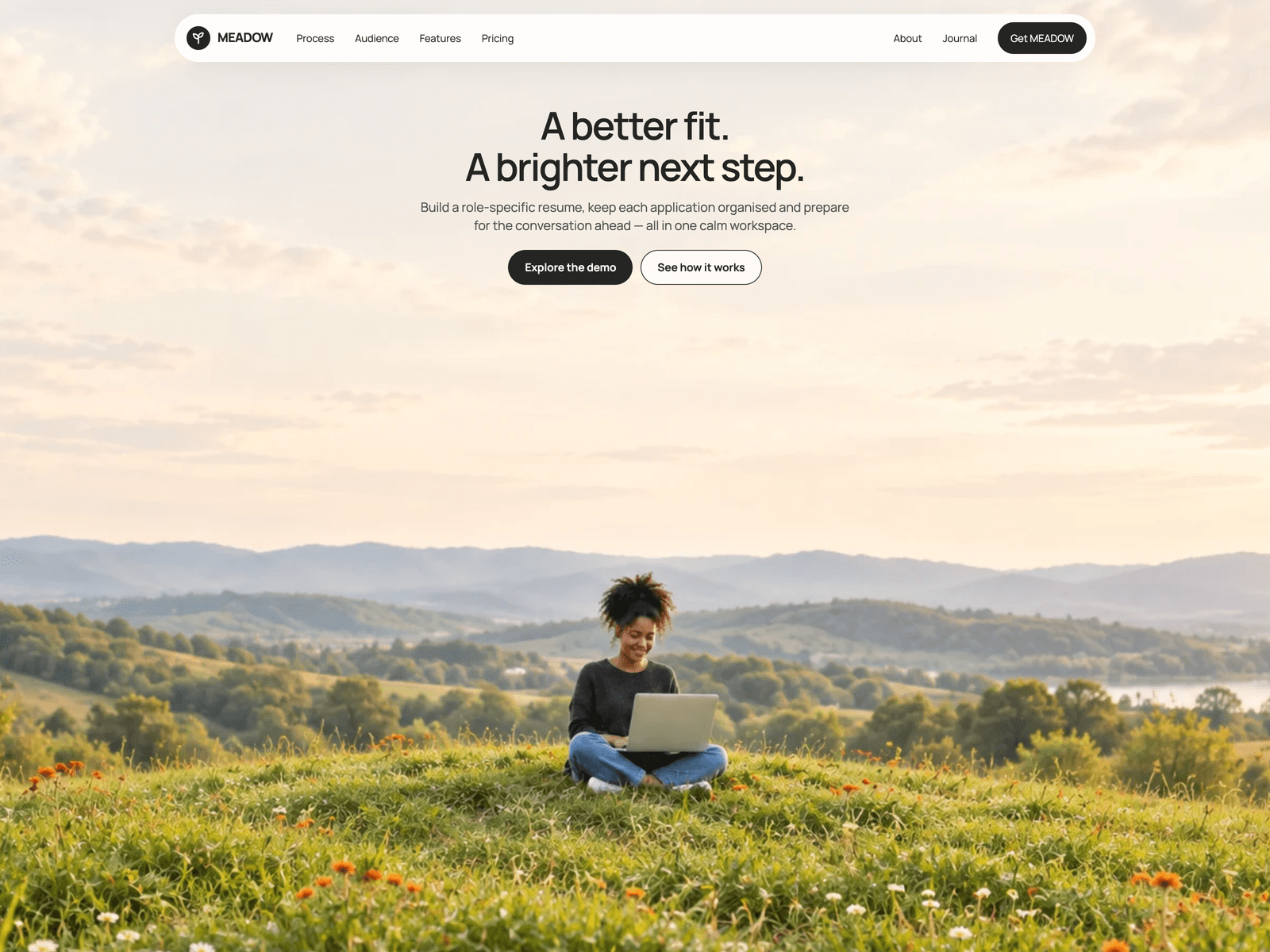 Meadow theme - homepage preview